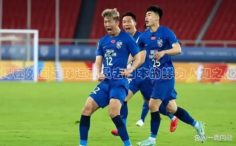 欧陆注册手机版百度数据开放平台