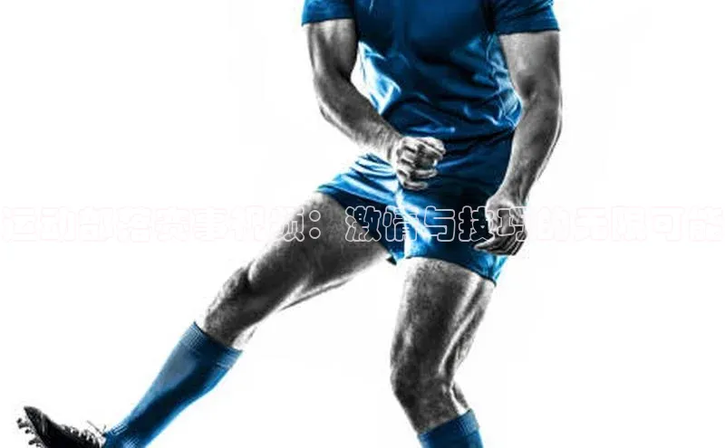 欧陆平台网站京东