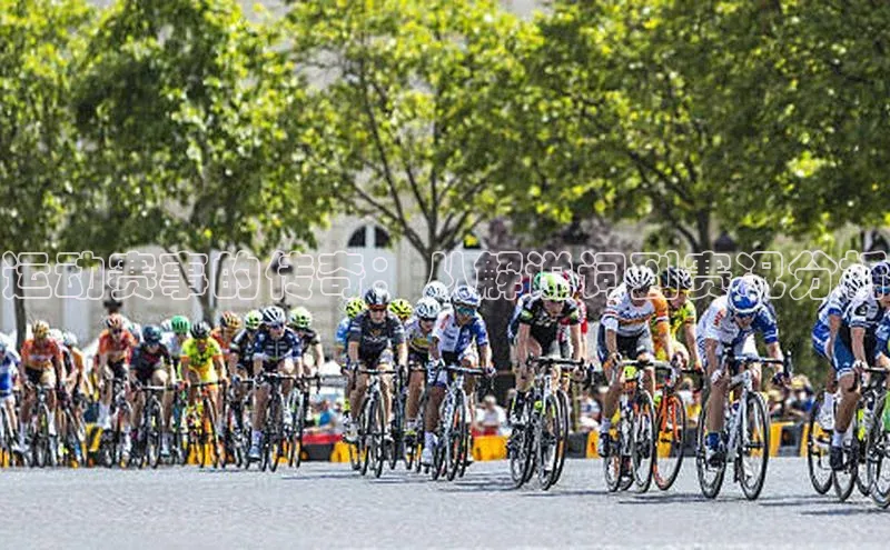 欧陆平台测速地址每日互动