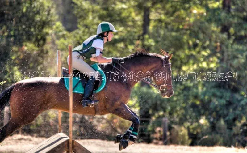 欧陆娱乐怎么注册账号