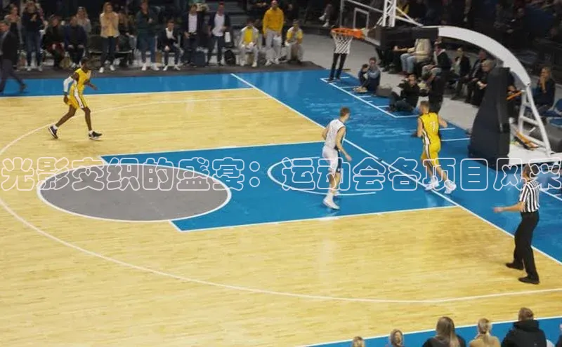 欧陆注册点登录入口官网